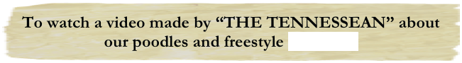 To watch a video made by “THE TENNESSEAN” about our poodles and freestyle click here